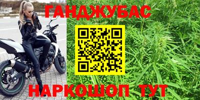 гидра Новокубанск