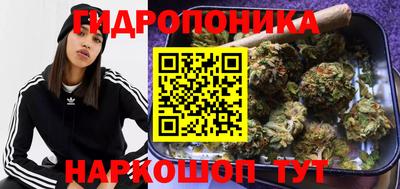 гидра Новокубанск