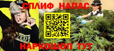 гидра Новокубанск