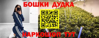 гидра Новокубанск