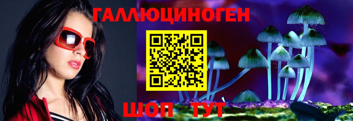 Галлюциногенные грибы ЛСД  Псилоцибиновые грибы прущие грибы  Сухой Лог  Вход с VPN 